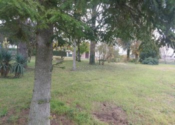 Single Family Villa via Ghiaroni, Molinella - photo 8