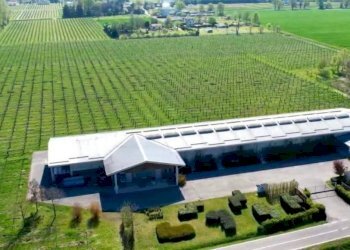 Vista - Villa Carpi - foto 43