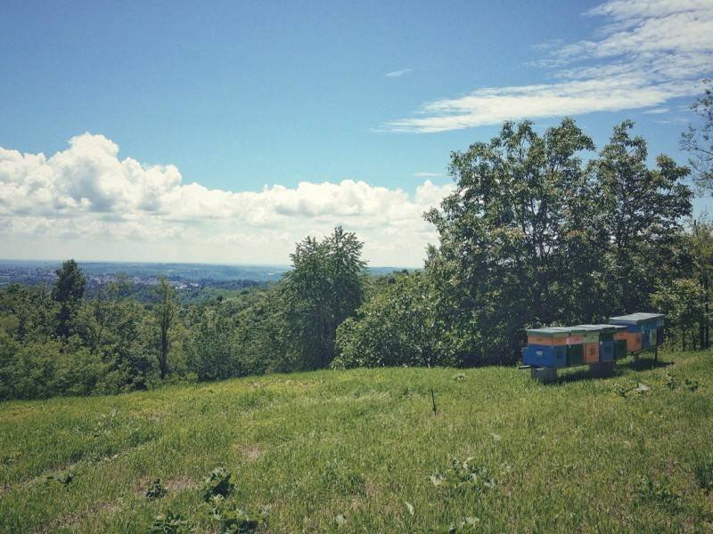 Terreno - Rustico via Monte Martica, 28, Varese - foto 3