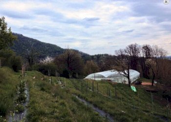 Vista - Rustico via Monte Martica, 28, Varese - foto 4