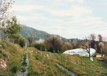 Terreno - Rustico via Monte Martica, 28, Varese - foto 23