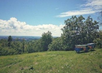 Terreno - Rustico via Monte Martica, 28, Varese - foto 3