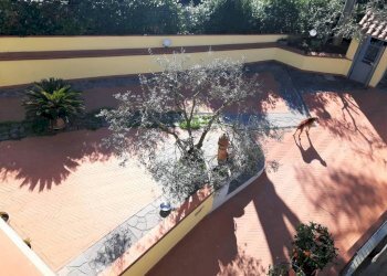 Giardino - Villa via ungaretti, Carmignano - foto 19