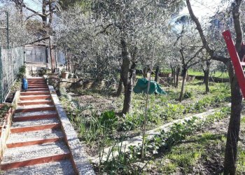 Giardino - Villa via ungaretti, Carmignano - foto 22