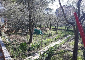 Terreno - Villa via ungaretti, Carmignano - foto 25