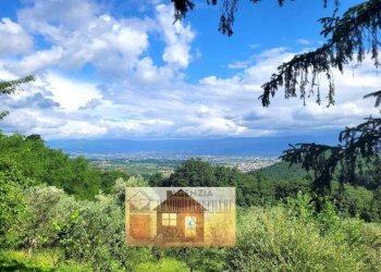 Vista - Rustico via Capezzana, Quarrata - foto 10