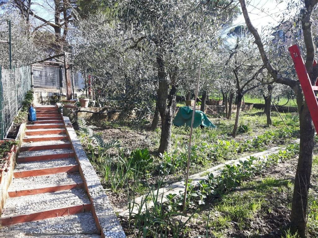 Giardino - Villa via Montefortini, Signa - foto 2