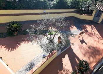 Giardino - Villa via Montefortini, Signa - foto 8