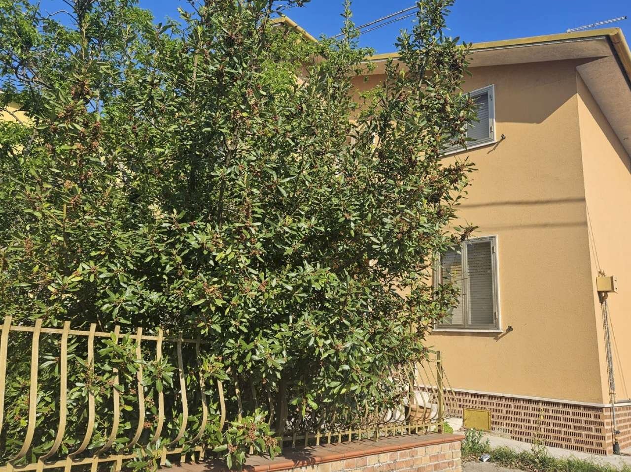 img-20240412-wa0002 - Semi-detached Villa Santa Maria Nuova - photo 2