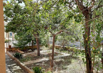 giardino fronte strada - Villa Bifamiliare Santa Maria Nuova - foto 5