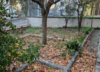 img-20231128-wa0005 - Villa Bifamiliare Santa Maria Nuova - foto 6