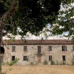 Azienda agricola Santo Stefano Belbo - foto 2