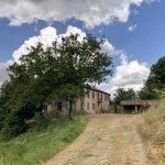 Azienda agricola Santo Stefano Belbo - foto 3
