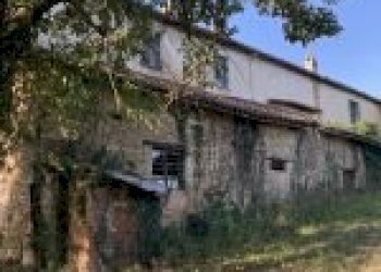 Azienda agricola Santo Stefano Belbo - foto 4