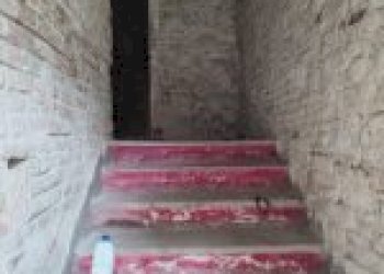 Azienda agricola Santo Stefano Belbo - foto 10