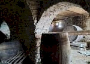 Azienda agricola Santo Stefano Belbo - foto 20