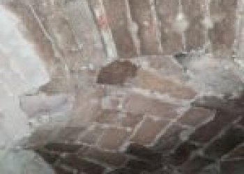 Azienda agricola Santo Stefano Belbo - foto 21