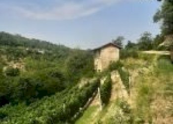 Terreno agricolo Cossano Belbo - foto 11