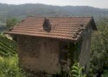 Terreno agricolo Cossano Belbo - foto 12