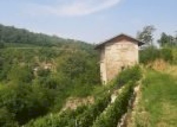 Terreno agricolo Cossano Belbo - foto 13