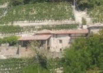 Terreno agricolo Cossano Belbo - foto 14