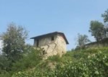 Terreno agricolo Cossano Belbo - foto 15