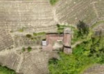 Terreno agricolo Cossano Belbo - foto 19