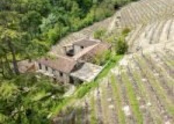 Terreno agricolo Cossano Belbo - foto 21