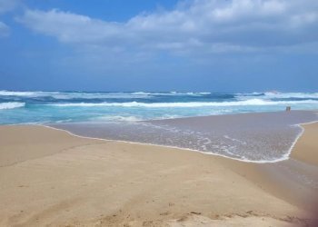 Appartamento Badesi - foto 27