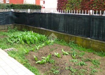 Trilocale Viale Marostica, Riccione - foto 35