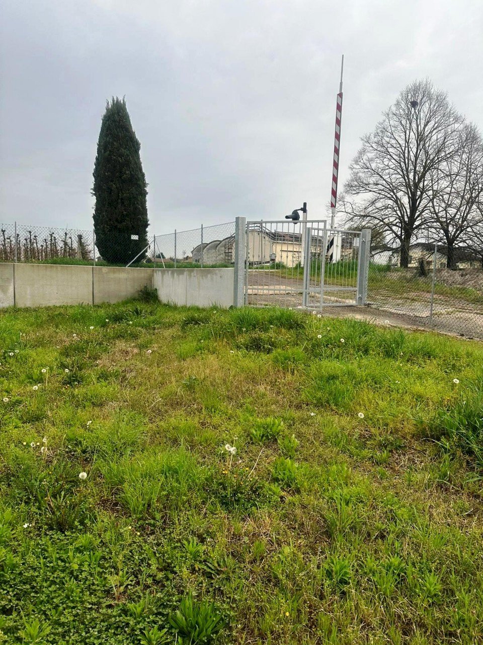 Independent house Massa Lombarda - photo 2