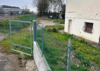 Independent house Massa Lombarda - photo 9