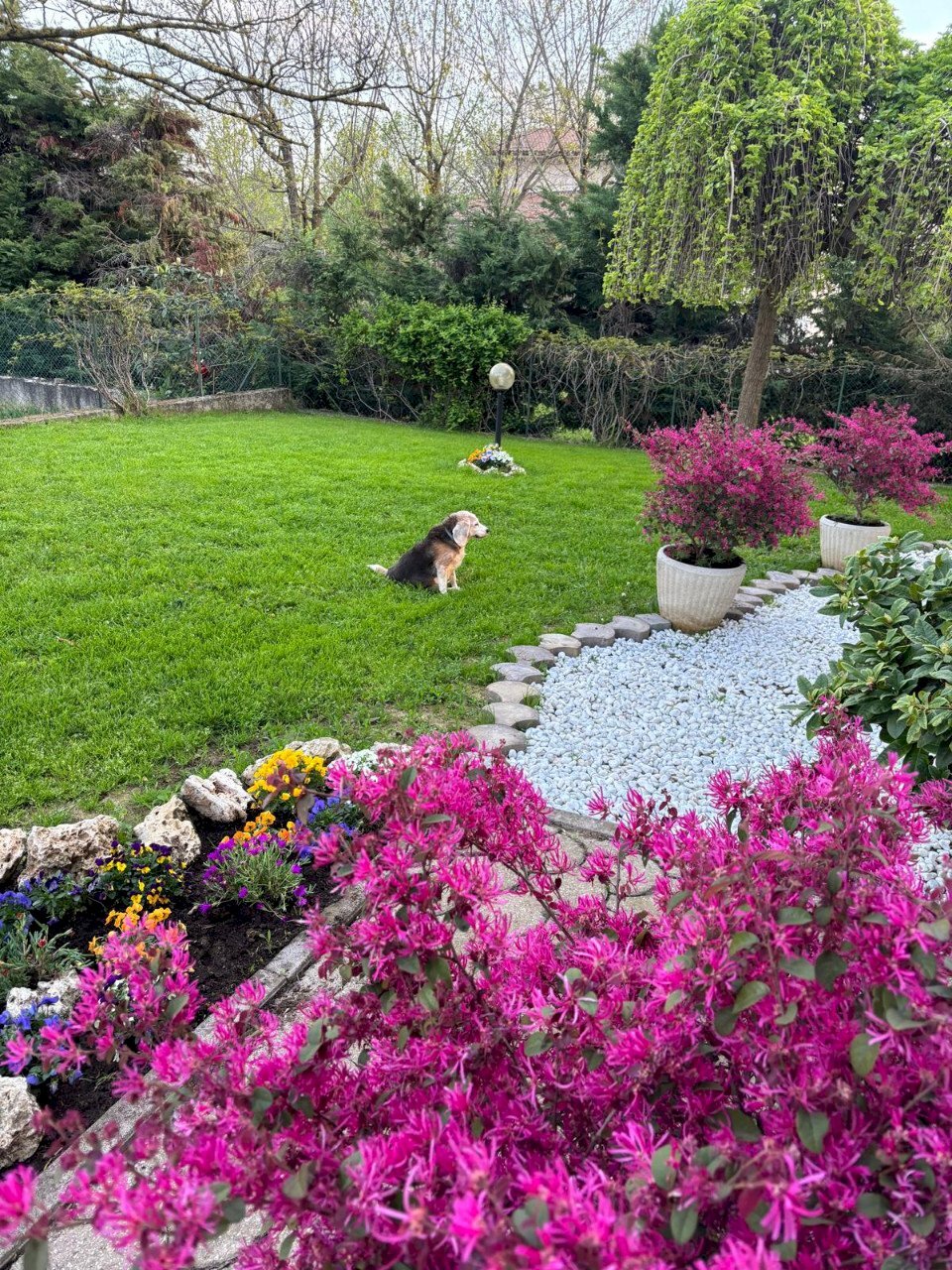 Villa Rivergaro - foto 2