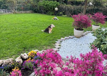 Villa Rivergaro - foto 2