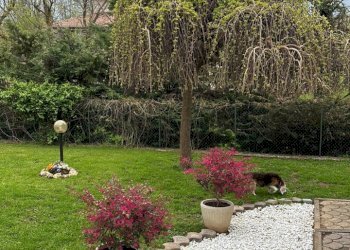 Villa Rivergaro - foto 11