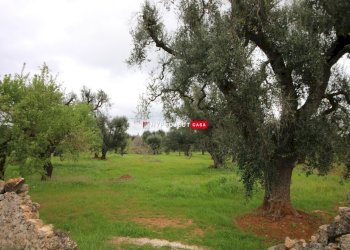 Trullo Sp26, Ceglie Messapica - foto 9