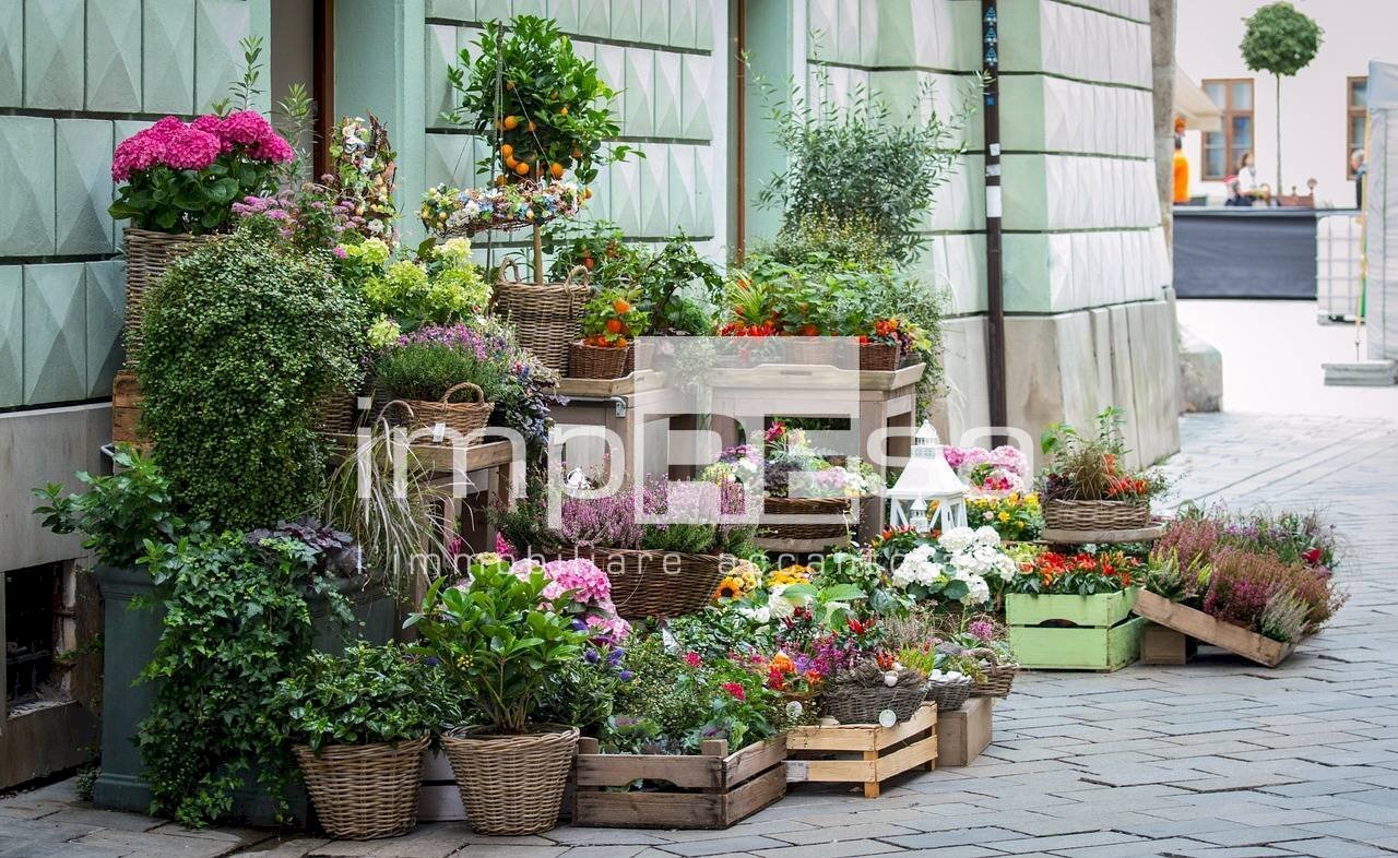 Shop Montebelluna - photo 1