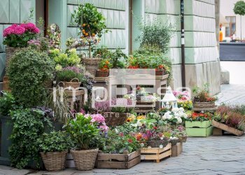 Negozio Montebelluna - foto 1