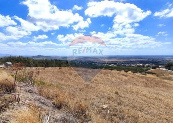 Terreno agricolo Erice - foto 3