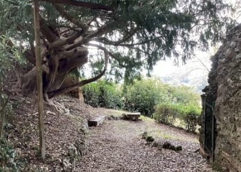 Other Strada del Monastero, Siena - photo 21