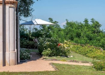 Giardino - Villa Canelli - foto 17