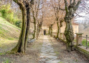 Giardino - Appartamento strada Cigala, Moncalieri - foto 40