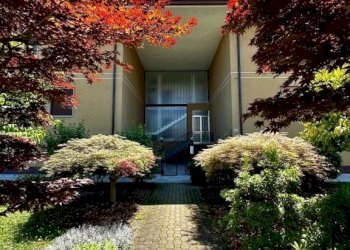 Giardino - Four-room apartment corso 25 Aprile, 30, Busca - photo 44