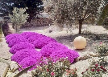 Villa Strada Statale, Licata - foto 6