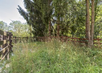 Rustic Borgata Balma, snc, Rittana - photo 24