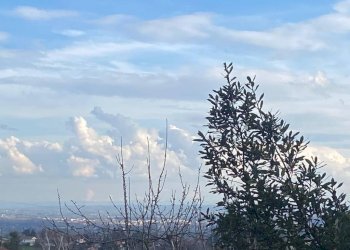 Vista - Quadrilocale via Umberto I, Pecetto Torinese - foto 23