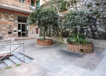 Giardino - Bilocale via del Lagaccio, 34c, Genova (zona Lagaccio) - foto 5