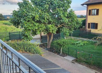 Small Villa Cervere - photo 57