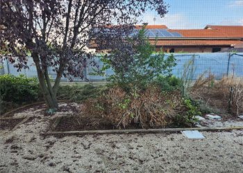 Small Villa Cervere - photo 62