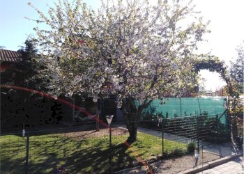 Small Villa Cervere - photo 63